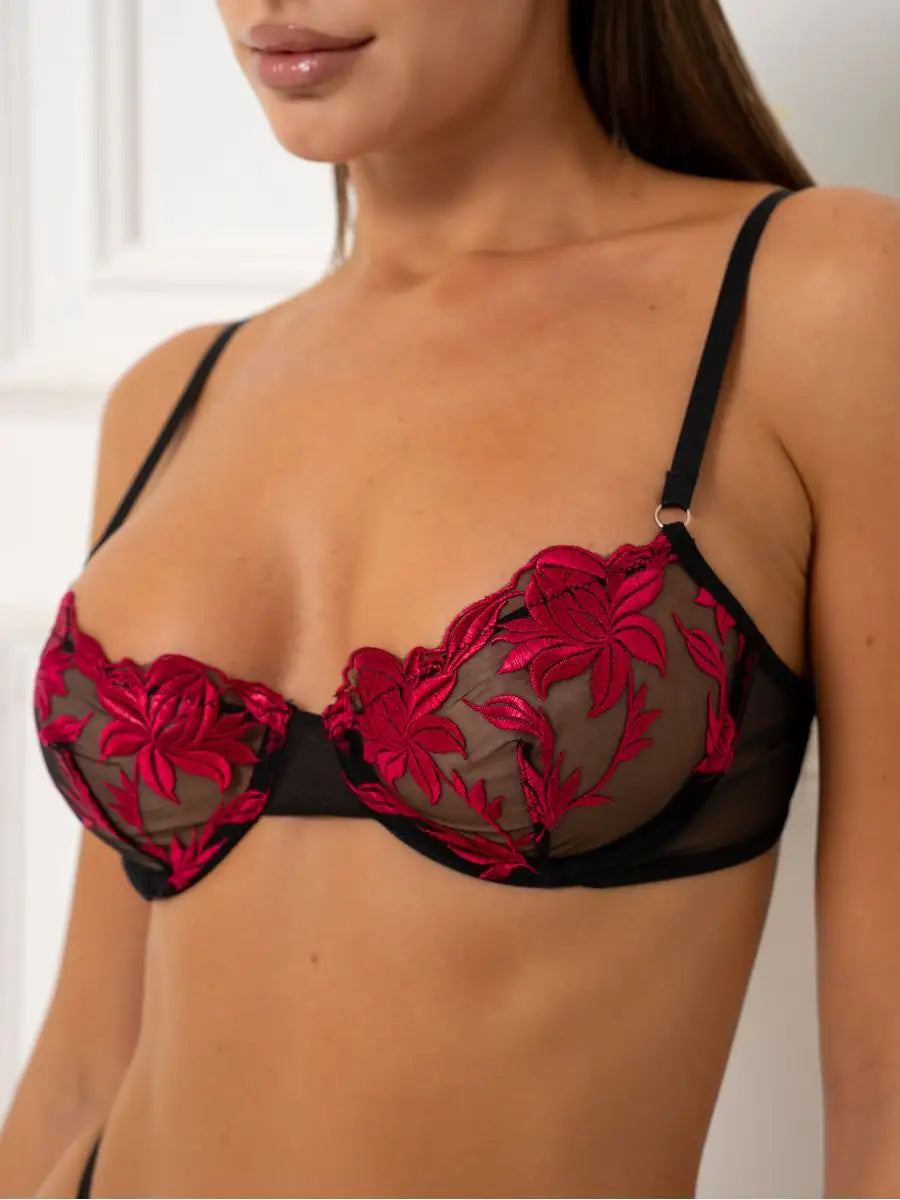 Crimson Desire Sheer Embroidered Lingerie Set