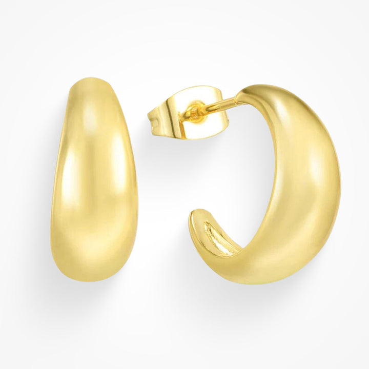 Earring Hoops